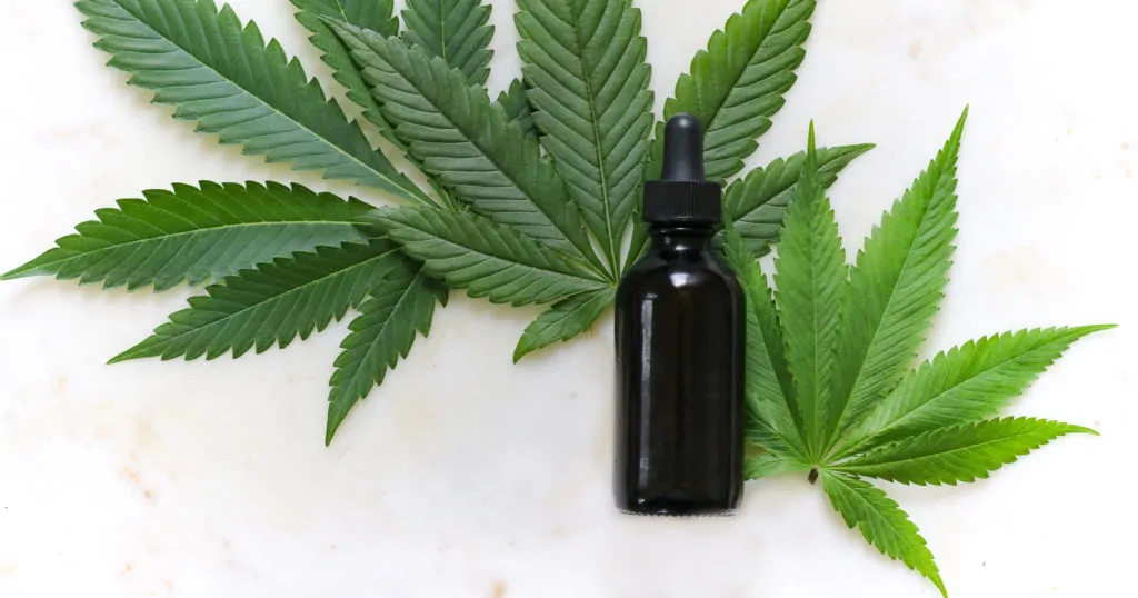 CBD: Can It Improve Your Training?