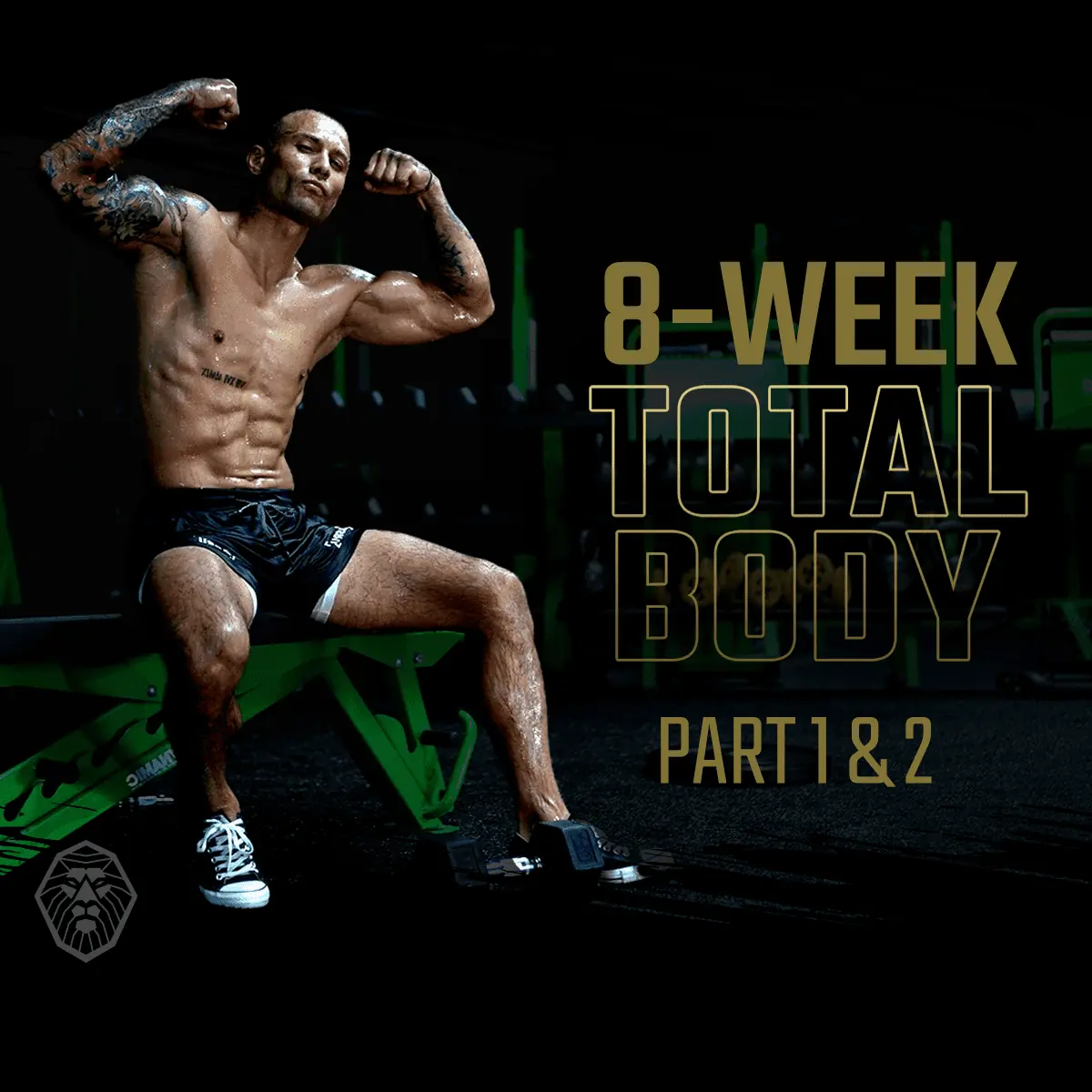8 Week Total Body Program